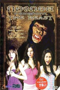 ����Ҳ����