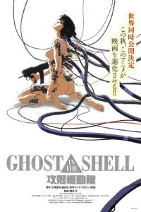 ���ǻ�����