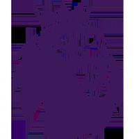 Ӣ������ ������VSŦ��˹����20260201